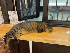 -猫的天空之城概念书店(杭州南宋御街店)