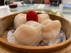 -老广新意(奥园店)