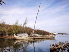 -洱海月湿地公园