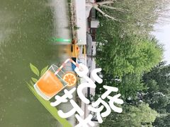 -向外鱼乐·土菜·虹鳟鱼