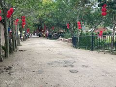 -丹樱生态园