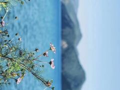 -丽江泸沽湖景区