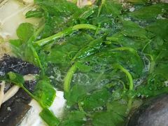 -海关荤豆花(洋河一路店)