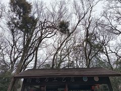 -灵谷景区