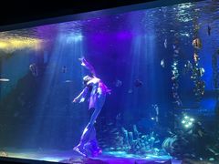 -顺德南宏海立方海洋公园