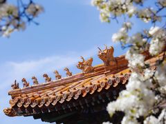 -故宫博物院(故宫)