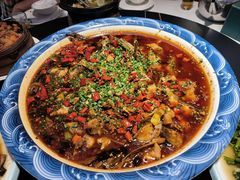 -新概念来凤鱼(璧山店)