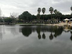 -河泥荡文化公园