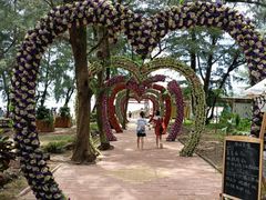 -北海金海湾红树林生态旅游区