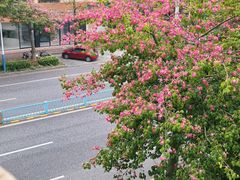 -567·密室逃脱(大良店)