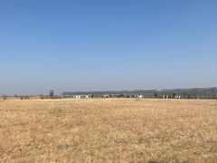 -盐城丹顶鹤湿地生态旅游区