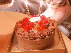 -布歌东京(常州购物中心店)