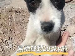 -萌兽医馆·犬猫专科·眼科中心·宠物医院(朝阳门分院)