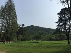 -习家池