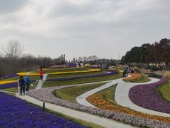 -南通洲际绿博园