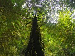 -赤水丹霞旅游区·佛光岩