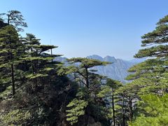 -黄山风景区