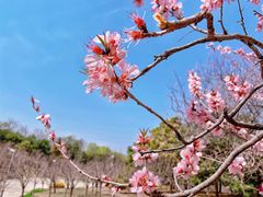 -朝阳公园游乐园