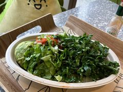 -油梨树AVOCADO TREE(望京店)