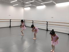 -中央芭蕾舞团·中芭艺蕾(酒仙桥明星校区)