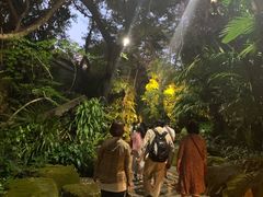 -绿光森林餐厅