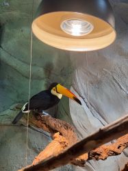 点击看大图 -Zoolung Zoolung动物主题公园(海信广场店)