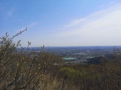 -北京西山国家森林公园