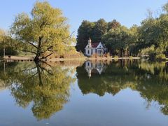 -上海共青森林公园