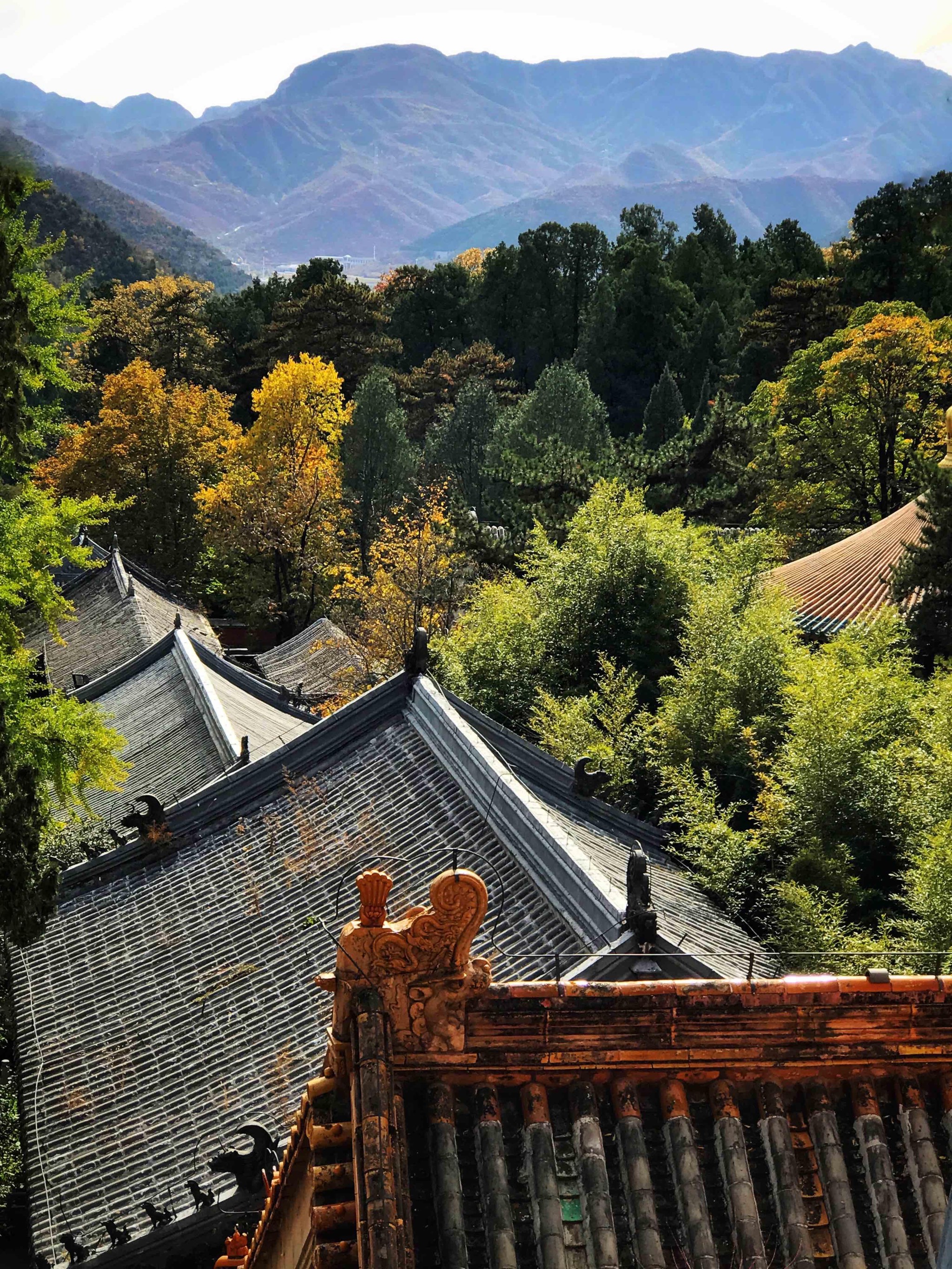 潭柘寺红叶最佳观赏期图片