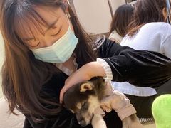 -逗柴咖啡屋·狗咖猫咖宠物桌游