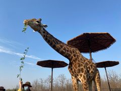 -济南野生动物世界