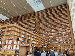 -朵云书院(滴水湖店)