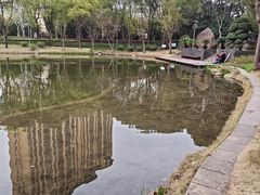 -陈家山荷花公园