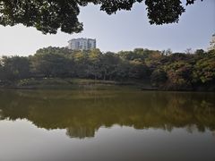 -深圳国际园林花卉博览园