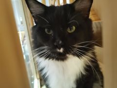 -Pets First伊珊娜洗护·精致美容·家庭式寄养(新会路店)