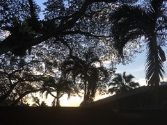 -龙海鲜螃蟹王(宏茂桥店)