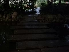 -成都市活水公园