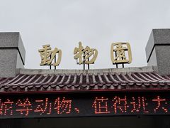 -东湖公园