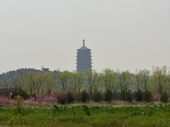 -永定河休闲森林公园