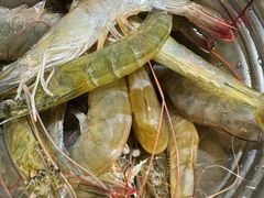 -聚盛源蒸汽海鲜火锅烤肉自助(巨川金海岸购物广场店)