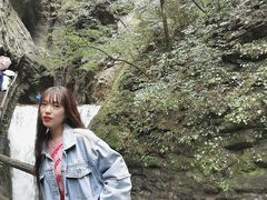 -牛背梁国家森林公园