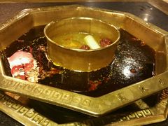 -蜀九香火锅(彩虹店)