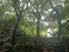 -绮园景区