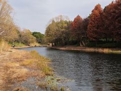 -贡湖湾湿地公园