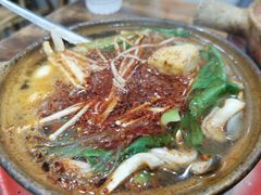 纯菜粉丝砂锅-清真·马文砂锅大全(麦苋街店)