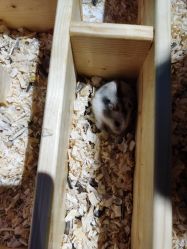 -酷嗒动物文化乐园(cutezoo西溪乐天城店)