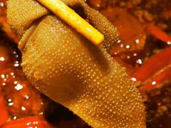 小龙坎毛肚-小龙坎火锅(IFS HOT店)
