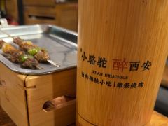 -福苗小骆驼烧烤(莲湖路店)