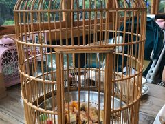-花溪雨·森林餐厅(石基店)