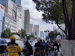 -金实大酥牛肉面